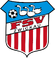 FSV Zwickau Logo