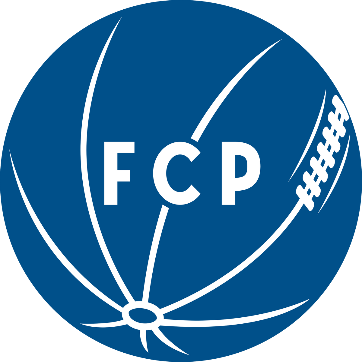 Logo Club Nacional de Fútbol Montevideo Fußball Herren Wappen, Symbol,  Emblem