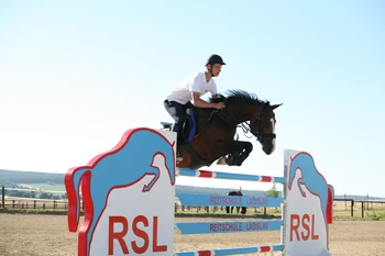 Clemens Ladislav-Reitlehrer, Turnierreiter, Gründer der Reitschule Ladislav und RSL Web Academy
