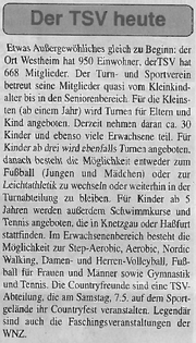 Der TSV heute.png