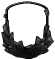 Stargazer.png