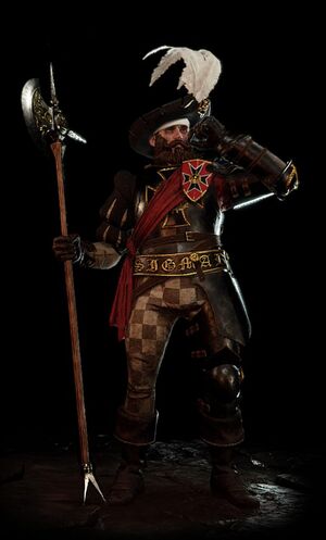 Hero mercenary.jpg