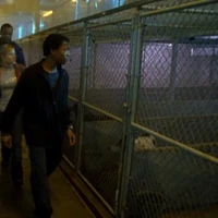 Hot Dogs Veronica Mars Wiki Fandom Tvpg • action, family • tv series (2020). hot dogs veronica mars wiki fandom