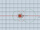 Complex -sqrt(z^-3-4*z^-1+2) lbl.png