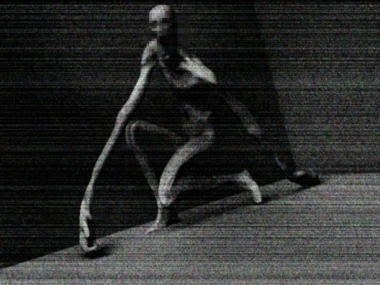 Be carefull, scp-096 running into a house