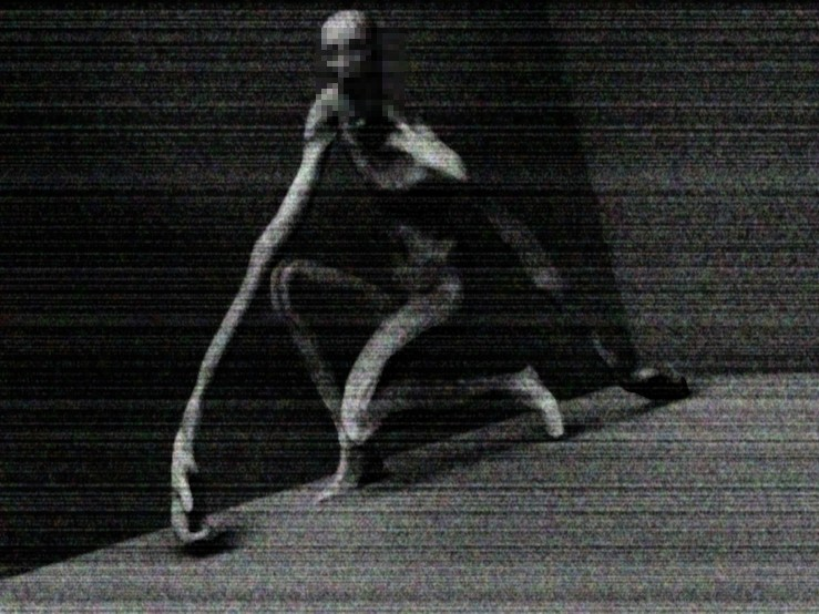 scp-096. a timida, Wiki