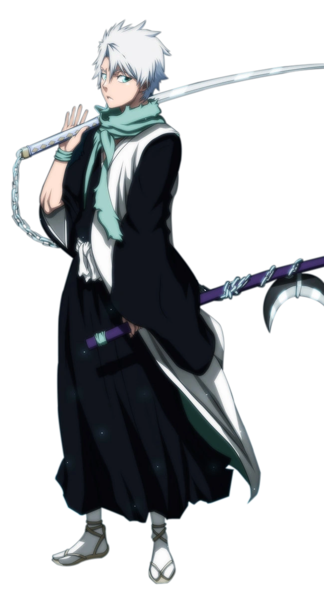 Toshiro Hitsugaya Timeskip
