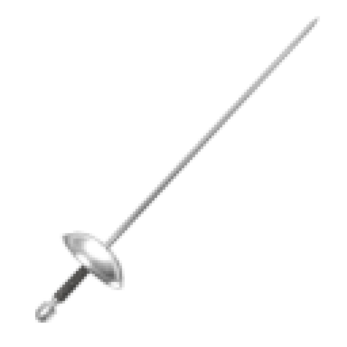 Fencing Sword Veszteség Wiki Fandom