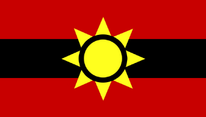 Allacoa Flag 318