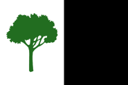 Treixe