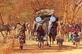 A nomadic Yarene family in the savannas of northern Wakati