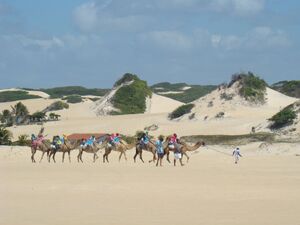 Voisionçal Dunes