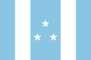 Flag in style of 1845 Ecuador flag