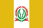 Flag of Namdrik Atoll