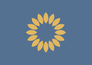 Proposal by "Rebranding America" [1]
