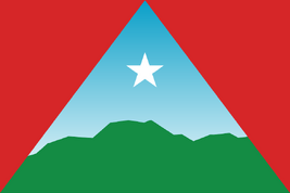 Flag of  Caracas/Federal District