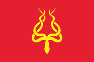 Flag of Zaqistan 2005–present.