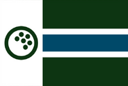 Augusta flag redesign 2 by The City Flag Project, Jan 2021. (Instagram)
