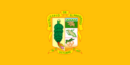 Flag of  El Progreso Province