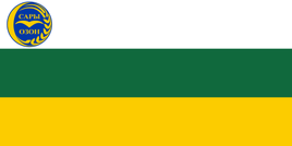 Flag of  Chüy Oblast