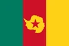 Flag of Cameroonian Antarctica
