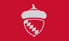 New Raleigh Flag proposal, 2022. (website)