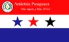 Flag of Paraguayan Antarctica