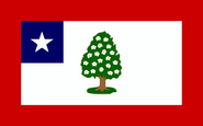 1861–1865 state flag