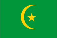 Tiris Zemmour Region flag proposal by RandomContentGuy, Jan 2024.