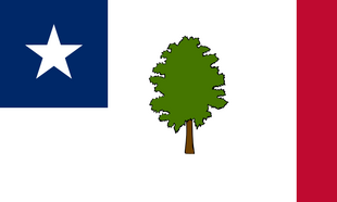 MS Flag Proposal "Jack Expo"