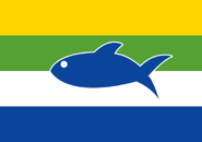 Piauí flag proposal 2 by HansLN. Jul 2019. (details)
