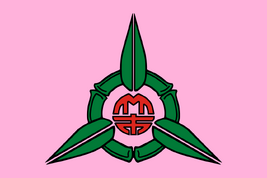Flag of Hsinchu City