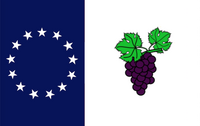 Yet another state flag for Connecticut. Really, anything would be better than our current flag. [Borrowed the grapes from "Bezbojnicul".] Posted by Ken Morton