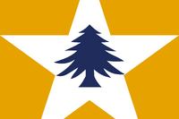 Proposal "star tree 1" for a flag for the state of Massachusetts, combining the colors and star from the state shield with the tree from the naval ensign. By Qaz Dec 2019 (details)