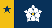 MS Flag Proposal "Bmoxey 2"