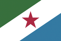 The shape of the angles in the flag mimic the shape of the state itself, with blue for the ocean in the southeast, and green for the mountains and forests in the northwest. This idea is also represented in the state seal. The white bar in the middle of the flag represents the Piedmont Crescent, the historical economic and population center of the state connecting Charlotte and Raleigh. The Crescent was developed as a result of the cotton mill industry, hence the white color. The red star comes from a Civil War version of the NC flag that had a red field with white star. The colors are inverted today to reflect the new direction of the state in the modern era. The star also represents the cap of liberty and horn of plenty from the state seal. Posted by Preston Knapp [1]