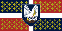 Louisiana State Flag Proposal by NATHANIEL TANG on 13 JUNE 2015 at 05:40 UTC . Flag based on old New France regimental flags of the Royal French Army, defaced with arms with the pelican in her piety heraldic charge