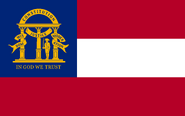 GA Proposed Flag "lizard-socks"