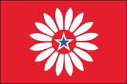 Kansas State Flag Symplistic Proposal. I kept Kansas simple and used the state flower, the wild sunflower, as the main element. The star in the middle represents the state itself. By Ed Mitchell. 2013.