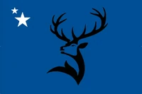 Flag proposal, unknown designer.[D 31]