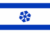 Flag of Israeli Antarctica