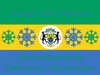 Flag of Gabonese Antarctica
