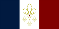 Louisiana State Flag Proposal by NATHANIEL TANG on 13 JUNE 2015 at 14:40 UTC . The French Tri-couleur, defaced with four fleur-de-lis representing the pelican in her piety