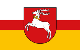 Civil flag of Lublin Voivodeship