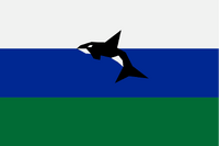 Green represents the state's lush forests. Blue represents the waters of the puget sound and columbia river. White represents the eternal blanket of clouds that cover the state. The orca is a popular symbol for the native tribes and is a native mammal to the area