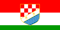 Posavina Canton