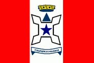 Amapa-antiga.jpg (18 KB) Flag of the Federal Territory of Amapá, 1984–1991.