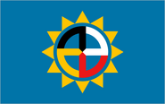 SD Proposed Flag "Flaglog"