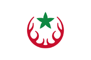 El Taref Province flag proposal by bilalodes, Jun 2022. (Reddit)