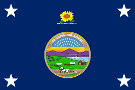 Standard of the Governor of Kansas (up to 1961)